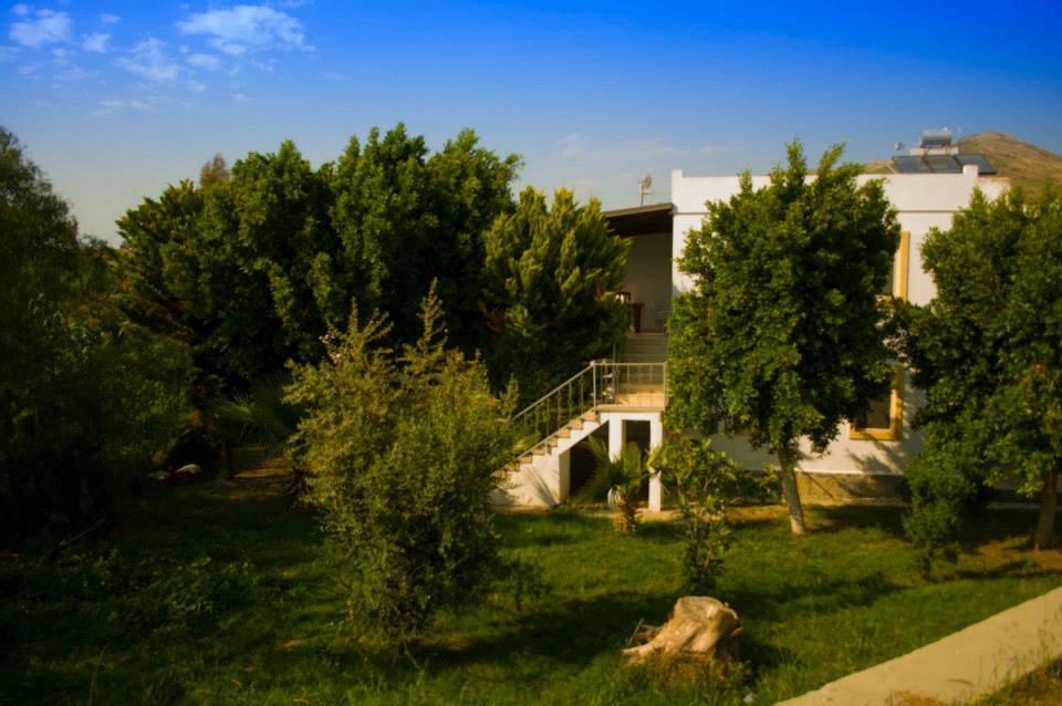 Alfa Apartments Bodrum Kültér fotó