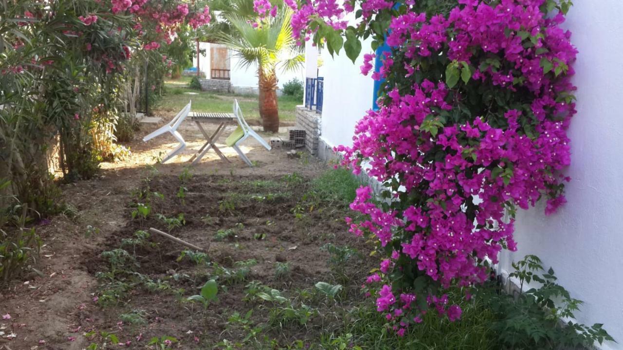 Alfa Apartments Bodrum Kültér fotó