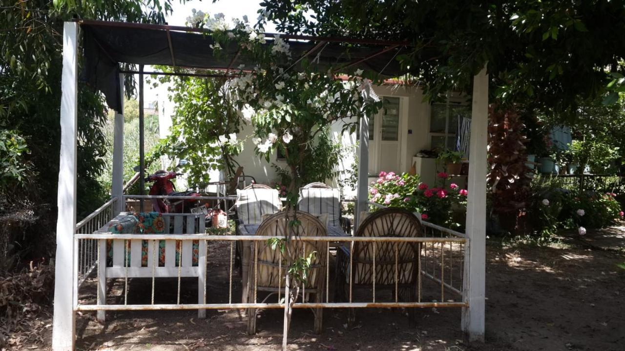 Alfa Apartments Bodrum Kültér fotó