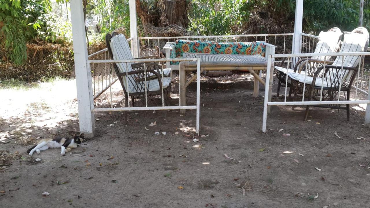 Alfa Apartments Bodrum Kültér fotó